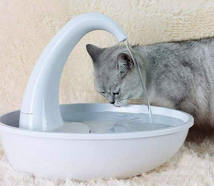 Le migliori fontane per gatti: confronto agosto 2021